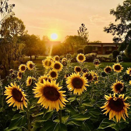 Quirindi Sunflower Motor Inn Exteriér fotografie