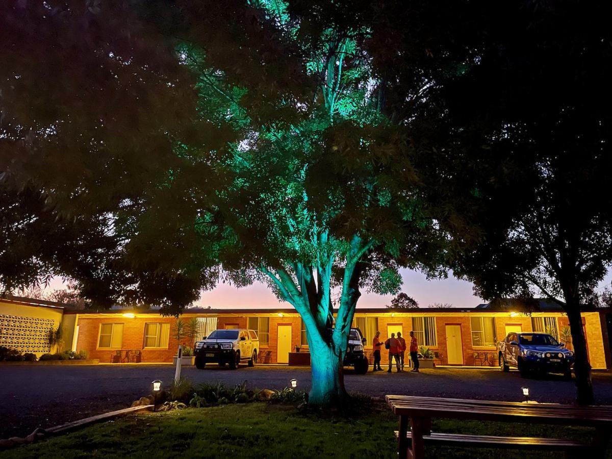 Quirindi Sunflower Motor Inn Exteriér fotografie