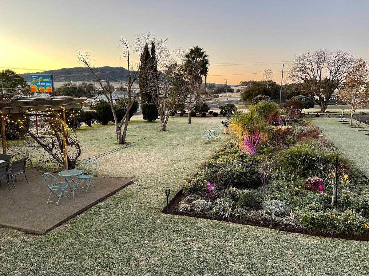 Quirindi Sunflower Motor Inn Exteriér fotografie